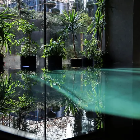 Azur Premium Apartment