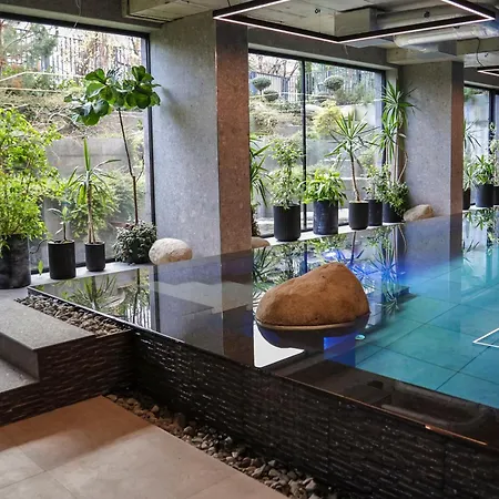 Apartment Azur Premium